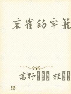 哀雀的牢笼