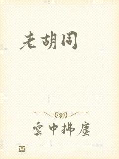 老胡同
