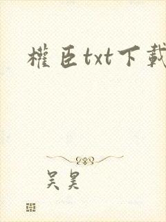 权臣txt下载封面