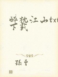 醉枕江山txt下载