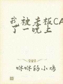 我被老板CAO了一晚上