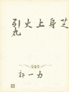 引火上身芝麻糖丸封面