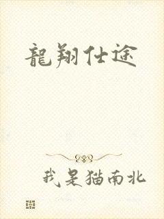 龙翔仕途
