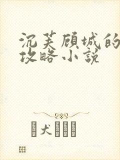 沉芙顾城的优质攻略小说