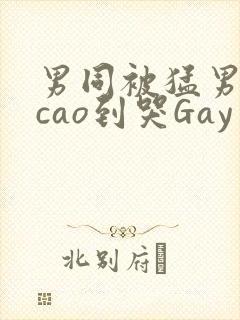 男同被猛男房东cao到哭Gay封面