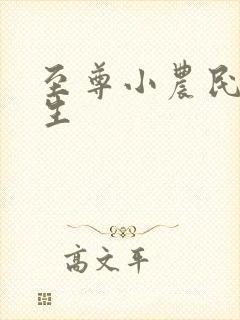 至尊小农民王木生