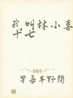 我叫林小喜今年十七