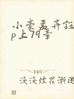 小豪孟卉钰慧三p上79章