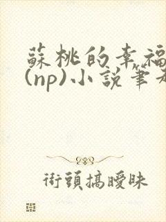 苏桃的幸福生活(np)小说笔趣阁