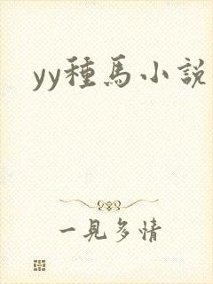 yy种马小说封面