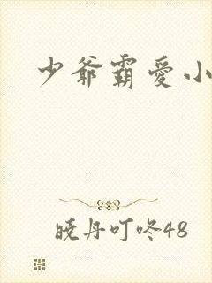 少爷霸爱小丫头