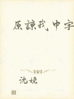 原谅我中字封面