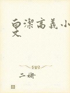 白洁高义小说全文
