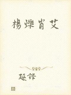 杨烁肖艾