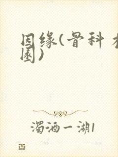 因缘(骨科 校园)