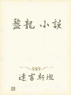 盘龙 小说