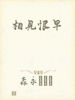 相见恨早封面