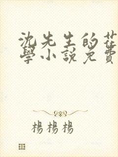 沈先生的花式教学小说免费封面
