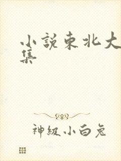 小说东北大炕全集