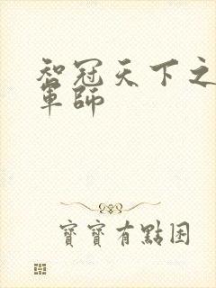 智冠天下之风流军师封面