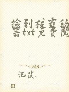 捡到校霸的遥控器txt免费阅读