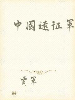中国远征军小说