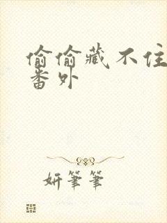 偷偷藏不住新婚番外