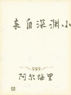 来自深渊小说