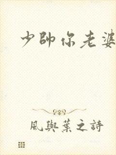 少帅你老婆