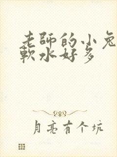 老师的小兔子好软水好多