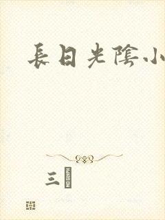 长日光阴小说