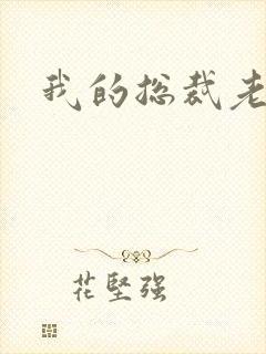 我的总裁老妈