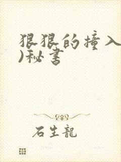 狠狠的撞入(h)秘书