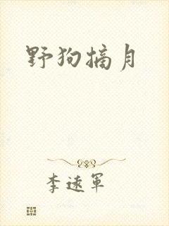 野狗摘月