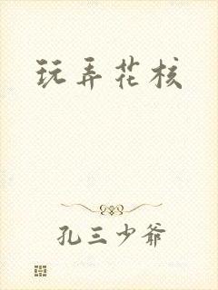 玩弄花核封面