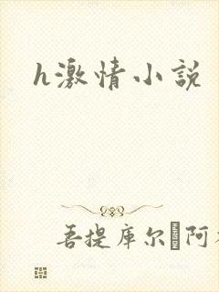 h激情小说