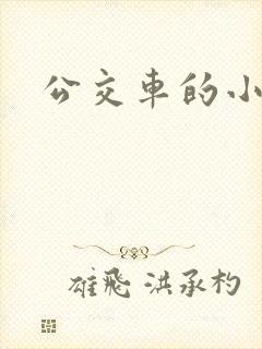 公交车的小说封面
