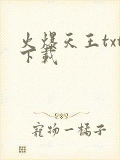 火爆天王txt下载