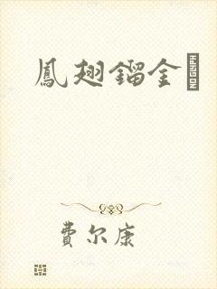 凤翅镏金镋封面