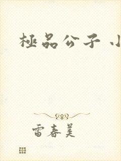 极品公子 小说