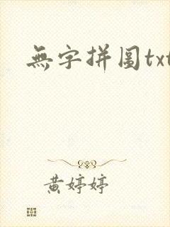 无字拼图txt