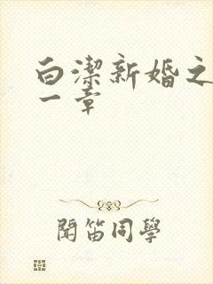 白洁新婚之夜第一章