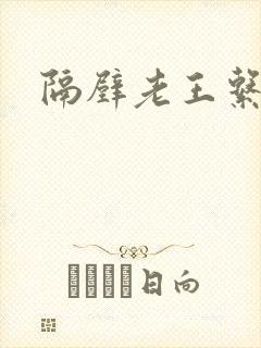 隔壁老王系统