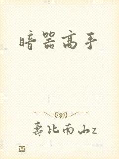暗器高手封面