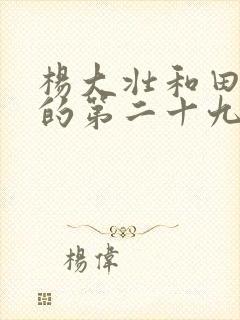 杨大壮和田桂花的第二十九封面
