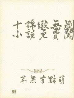 十锦缎无删原著小说免费阅读