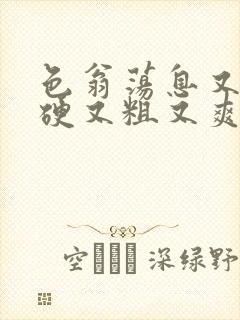 色翁荡息又大又硬又粗又爽小莹