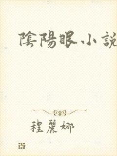 阴阳眼小说封面