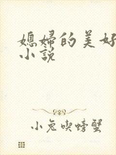 媳妇的美好时代小说