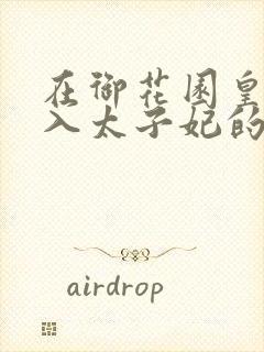 在御花园皇上进入太子妃的小说